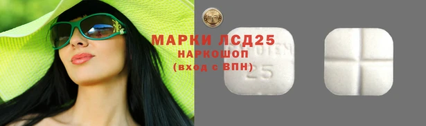 spice Вяземский