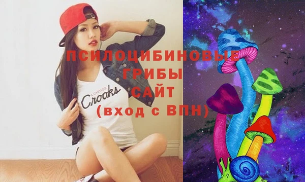 spice Вяземский