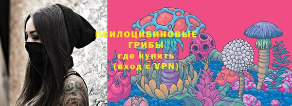 spice Вяземский