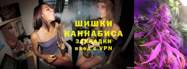 spice Вяземский