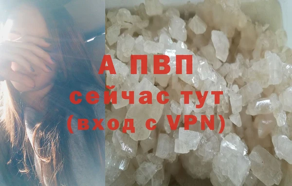 спайс Вязьма