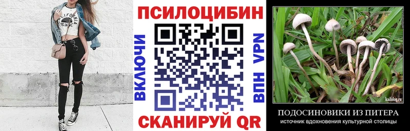Галлюциногенные грибы Magic Shrooms  блэк спрут вход  Дивногорск 